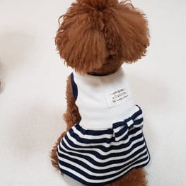 スモック/チュニック