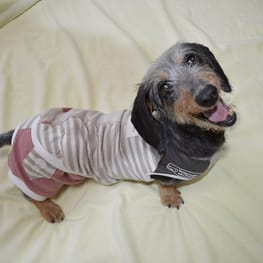 ラガーシャツ・ポロシャツ