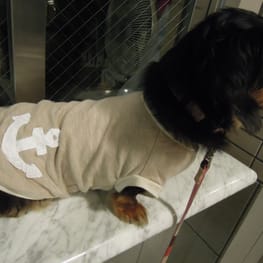 ベーシックタンクトップ&Tシャツ