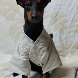 オーバーレインコート