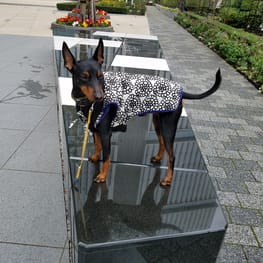 オーバーレインコート