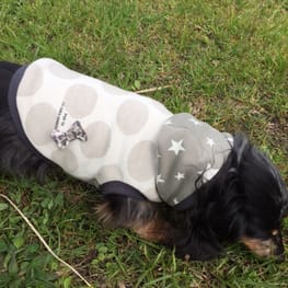 サニタリー・マナーパンツ