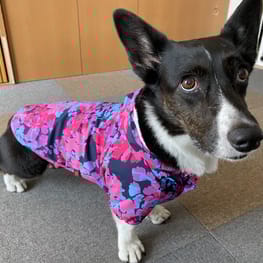 みんなのTシャツ