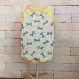 ベーシックラグランTシャツ