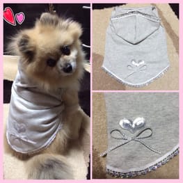 ドッグスリング