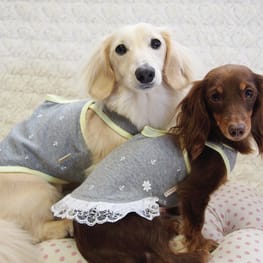 バルーンブラウス