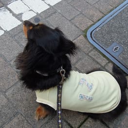 ベーシックタンクトップ&Tシャツ