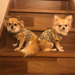 anirokitchenさんの作品