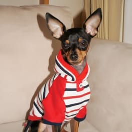 レーサーバック・バッククロスタンク