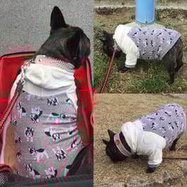 ラッフルスリーブトップス