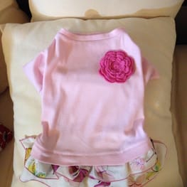 ラッフルスリーブトップス