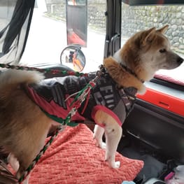 ちゃんちゃんこ