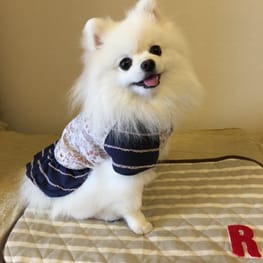 パーカー/トレーナー