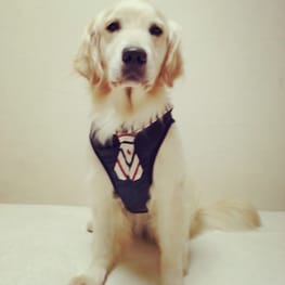 ベーシックタンクトップ&Tシャツ