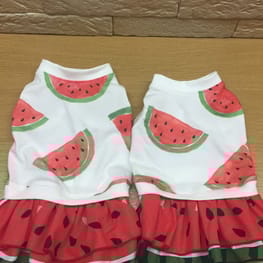 ベーシックタンクトップ&Tシャツ