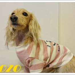 カバーオール(つなぎ)