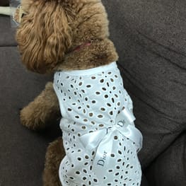 バルーンブラウス