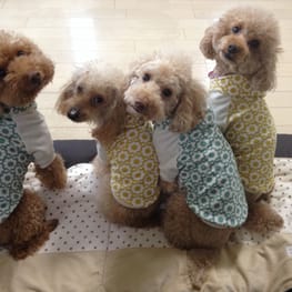 パーカー/トレーナー