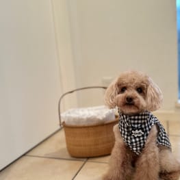 karlmamaさんの作品