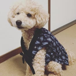 ちゃんちゃんこ