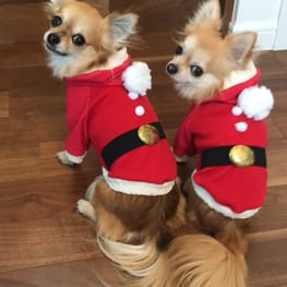 anirokitchenさんの作品