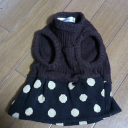 パーカー/トレーナー