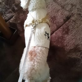 ぶらんさんの作品