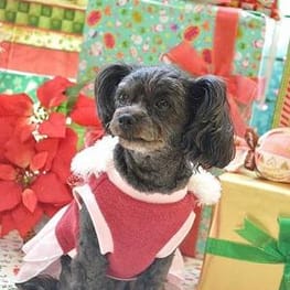 mi_ёさんの作品