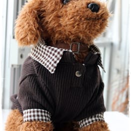 パーカー/トレーナー