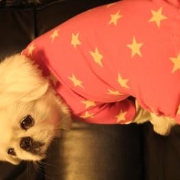 スカート/サロペット