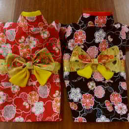 ダウンジャケット