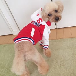 サニタリー・マナーパンツ