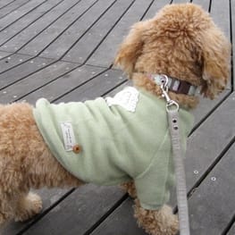 ダウンジャケット