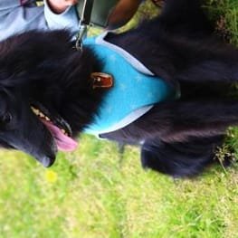 スカート/サロペット