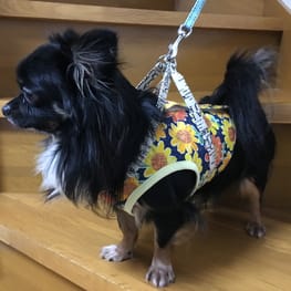 ハーネスウェア