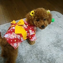 バルーンブラウス