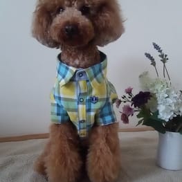 ベーシックタンクトップ&Tシャツ