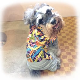 リボンワンピース