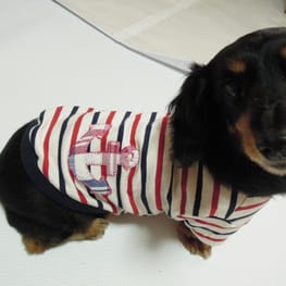 ベーシックタンクトップ&Tシャツ