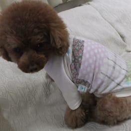 ベーシックラグランTシャツ