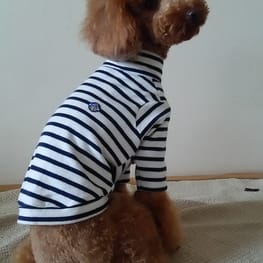 マーロンmamaさんの作品