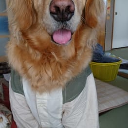 ヒーローコスチューム・男の子用