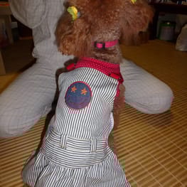 ラグランタンク・ラグランワンピ