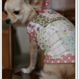 ドッグスリング