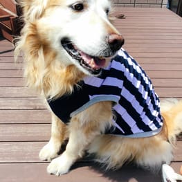 パンツ/サロペット