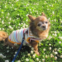 トレーナー・3Wayパーカー