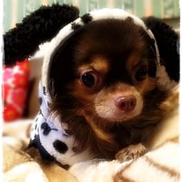 ラガーシャツ・ポロシャツ