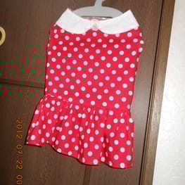 ドッグスリング