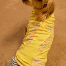 ダウンジャケット