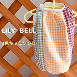 オーバーレインコート